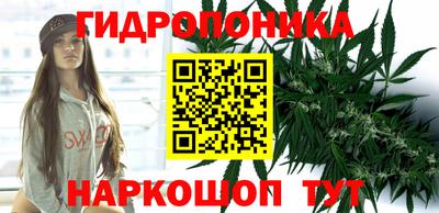 прущая мука Гатчина
